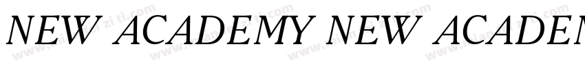 NEW ACADEMY NEW ACADEMY字体转换